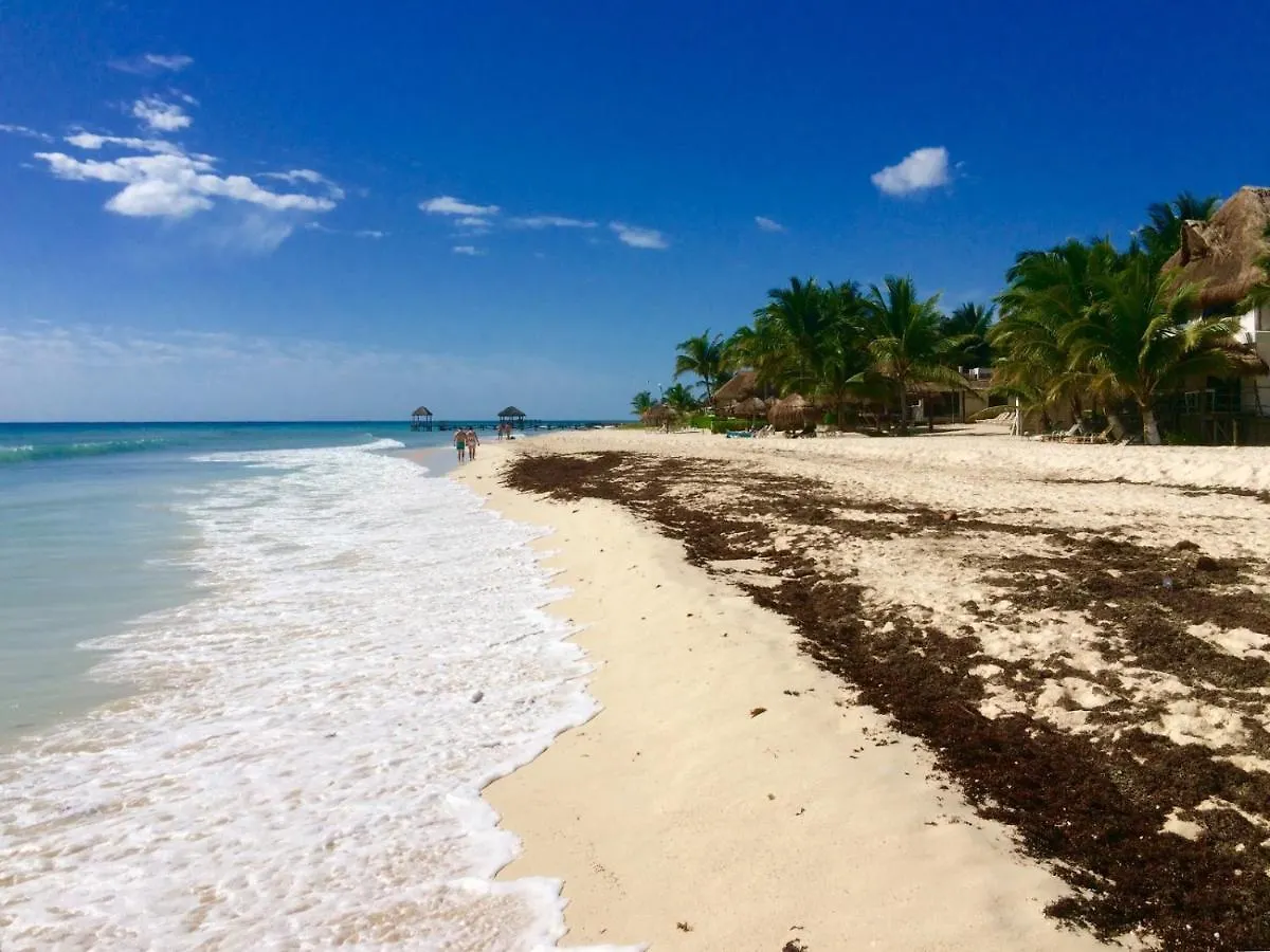 Apartment Bonito Apartamento 2Bd Con Piscina Playa Xcalacoco By Yeah Playa del Carmen
